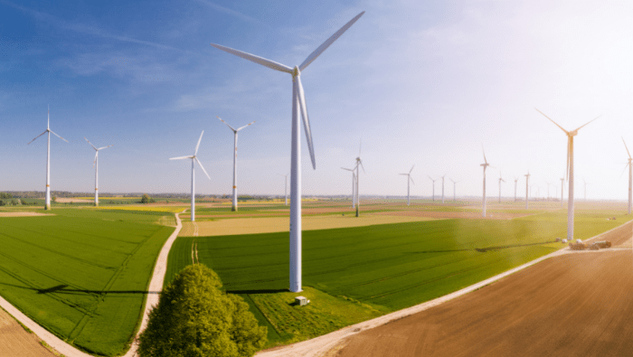 Renewable Energy- Wind